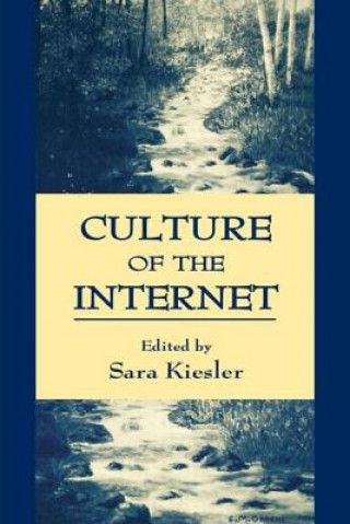 Kniha Culture of the Internet 