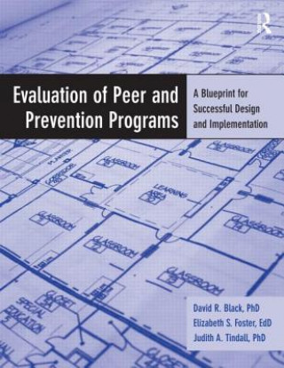 Boek Evaluation of Peer and Prevention Programs Judith A. Tindall