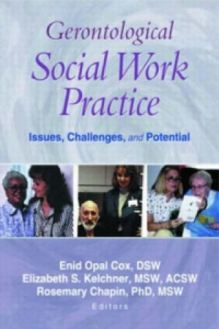 Kniha Gerontological Social Work Practice Elizabeth S. Kelchner