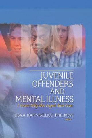 Książka Juvenile Offenders and Mental Illness Lisa A. Rapp-Paglicci