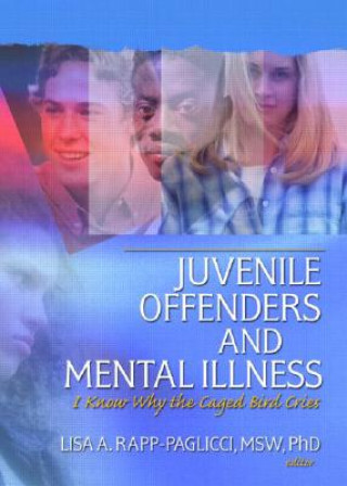 Książka Juvenile Offenders and Mental Illness Lisa A. Rapp-Paglicci