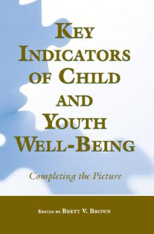 Carte Key Indicators of Child and Youth Well-Being 