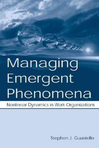 Buch Managing Emergent Phenomena Stephen J. Guastello