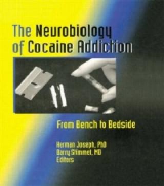 Kniha Neurobiology of Cocaine Addiction Regina Quattrochi