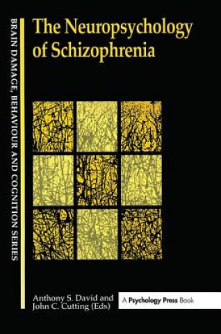 Livre Neuropsychology Of Schizophrenia 