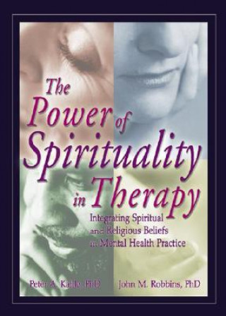 Kniha Power of Spirituality in Therapy John M Robbins