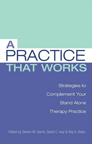 Knjiga Practice that Works Ph. D Steven M. Harris
