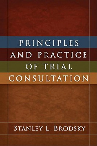 Kniha Principles and Practice of Trial Consultation Stanley L. Brodsky