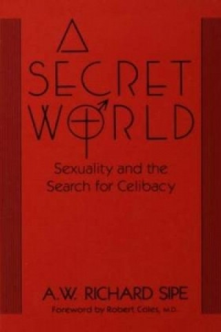 Kniha Secret World A. W. Richard Sipe