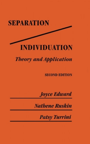 Libro Separation/Individuation: Theory And Application Patsy Turrini