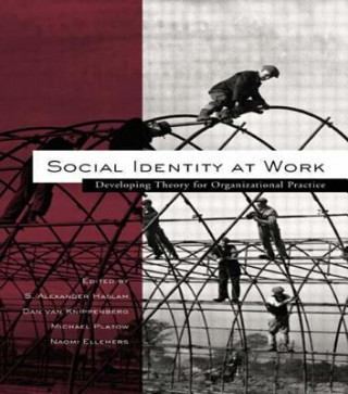 Carte Social Identity at Work 