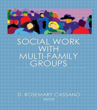 Kniha Social Work With Multi-Family Groups D. Rosemary Cassano