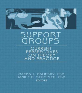 Buch Support Groups Janice H. Schopler