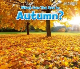 Libro What Can You See In Autumn? Sian Smith