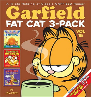 Book Garfield Fat Cat 3-Pack #15 Jim Davis
