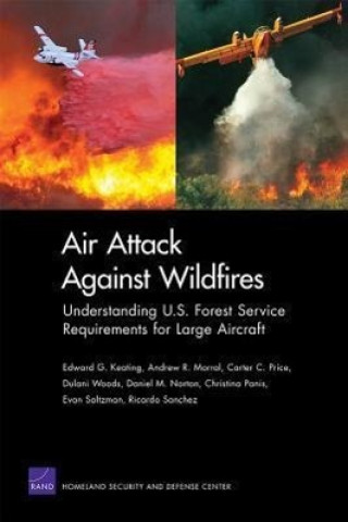 Kniha Air Attack Against Wildfires Ricardo Sanchez