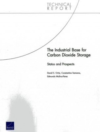 Buch Industrial Base for Carbon Dioxide Storage David S. Ortiz