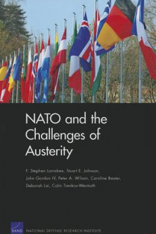 Könyv NATO and the Challenges of Austerity F. Stephen Larrabee