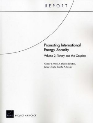 Libro Promoting International Energy Security Camille A Sawak