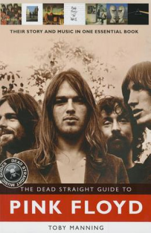 Kniha Dead Straight Guide to Pink Floyd Jones