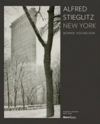 Knjiga Alfred Stieglitz New York Bonnie Yochelson