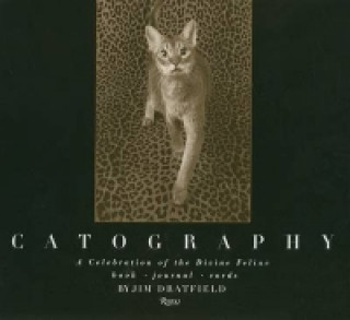 Carte Catography 