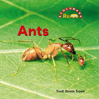 Knjiga Ants Trudi Trueit