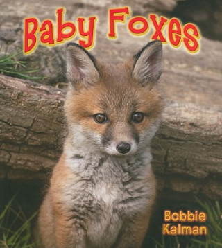 Carte Baby Foxes Bobbie Kalman