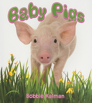 Książka Baby Pigs Bobbie Kalman