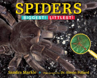 Knjiga Spiders Sandra Markle