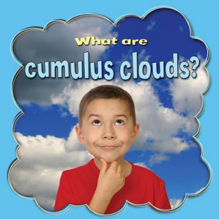Könyv What are cumulus clouds? Lynn Peppas