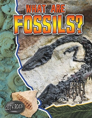 Książka What Are Fossils? - Lets Rock Natalie Hyde