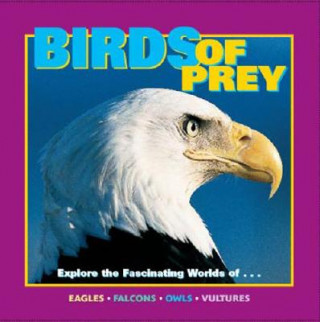 Kniha Birds of Prey Wayne Lynch