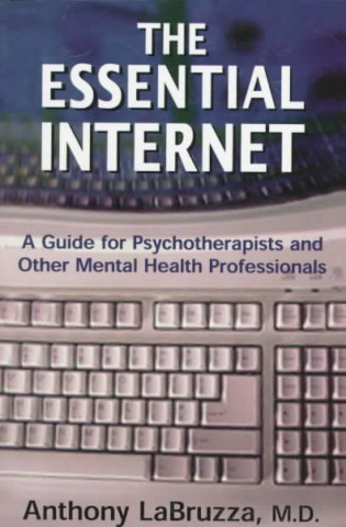 Book Essential Internet Anthony LaBruzza