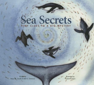 Libro Sea Secrets Mary M. Cerullo