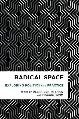 Kniha Radical Space Fae Brauer