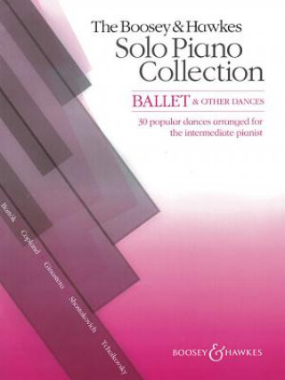 Kniha Boosey & Hawkes Solo Piano Collection Hywel Davies