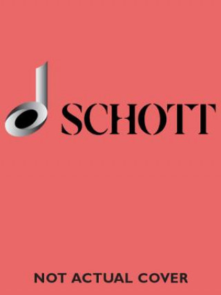 Buch CONCERTO C MAJOR JOSEPH SCHUBERT