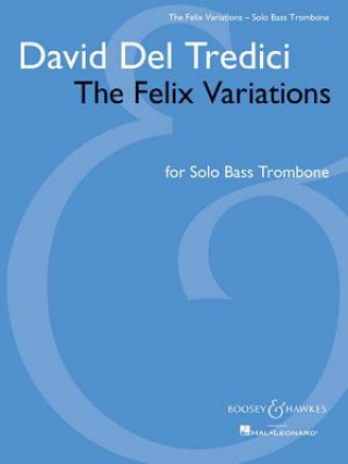 Knjiga FELIX VARIATIONS DAVID DEL TREDICI