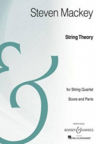 Buch STRING THEORY STEVEN MACKEY