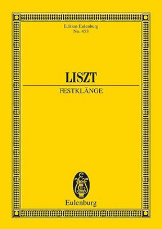 Libro FESTIVAL SOUNDS FRANZ LISZT