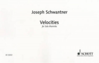Book VELOCITIES JOSEPH SCHWANTNER