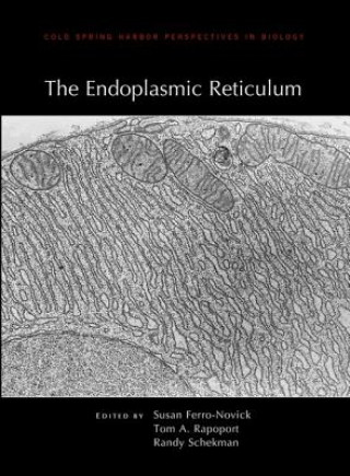 Kniha Endoplasmic Reticulum 
