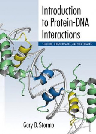 Könyv Introduction to Protein-DNA Interactions Gary D Stormo
