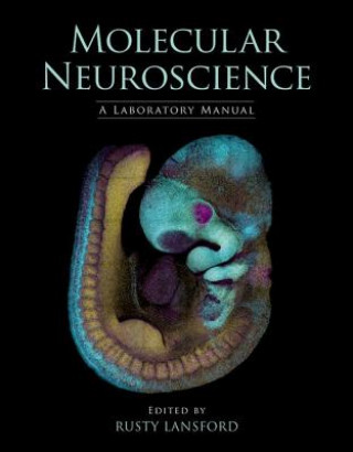 Kniha Molecular Neuroscience 