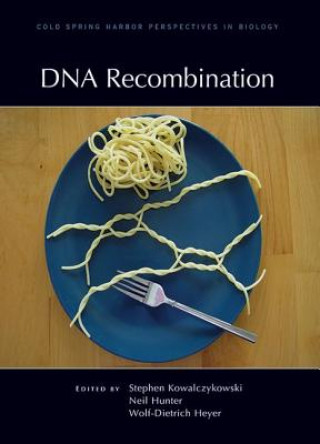 Kniha DNA Recombination 