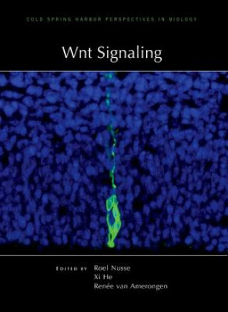 Książka Wnt Signaling 