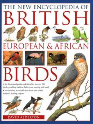 Kniha NEW ENCY OF BRITISH EUROPEAN AFRICAN B DAVID