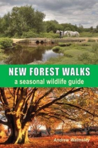 Książka New Forest Walks Andrew Walmsley