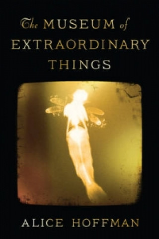 Knjiga Museum of Extraordinary Things Alice Hoffman